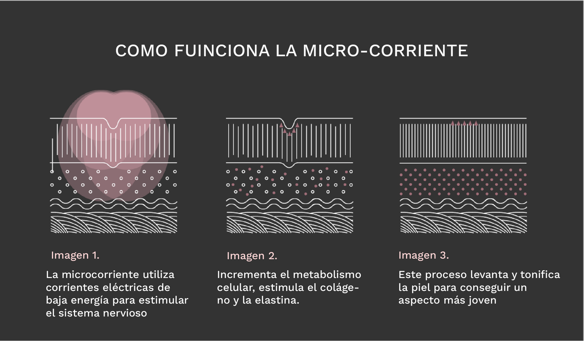 Microcorriente y el “ATP” (trifosfato de adenosina) - skindion